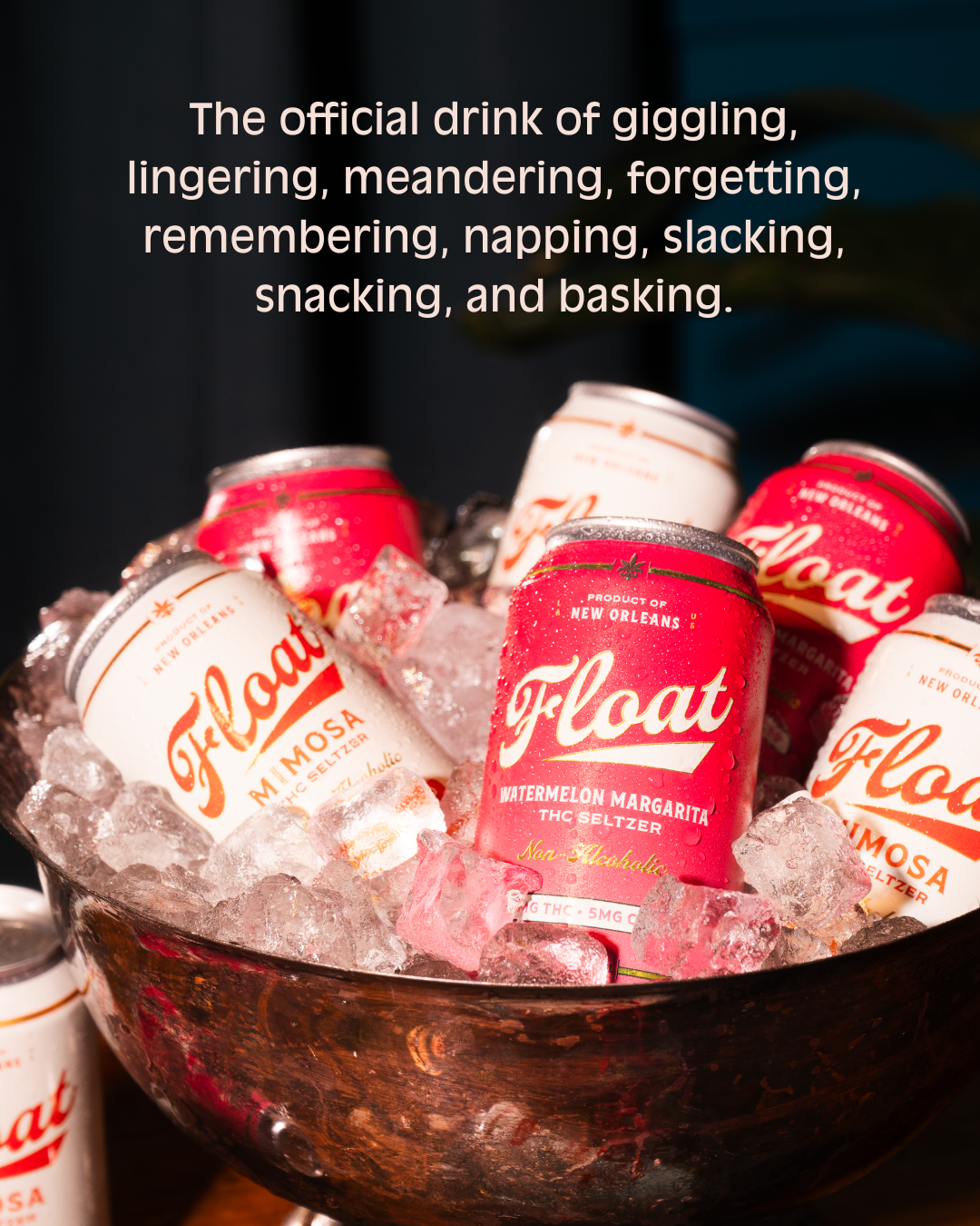 Mix 12 Pack